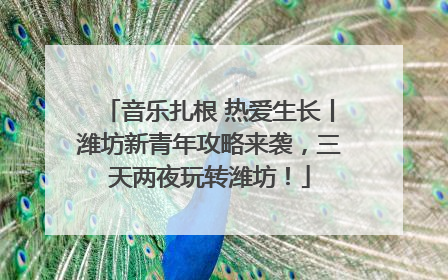音乐扎根 热爱生长丨潍坊新青年攻略来袭，三天两夜玩转潍坊！